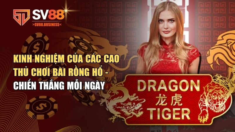 kinh nghiệm của các cao thủ chơi bài Rồng Hổ