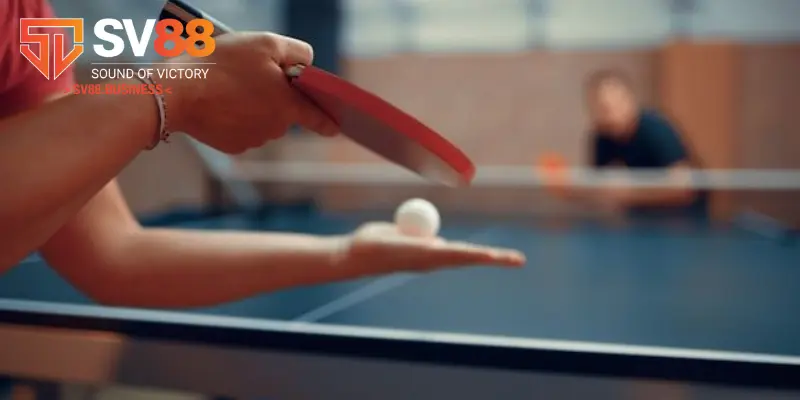 Cá cược bóng bàn có cách chơi đơn giản & dễ dàng