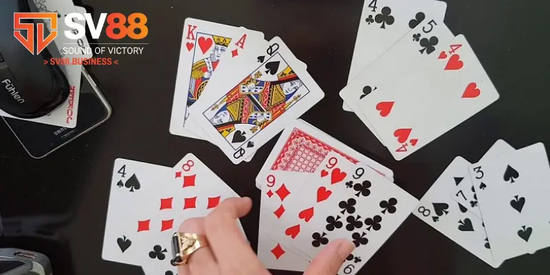 Mẹo cược cào tố dễ thắng nhất